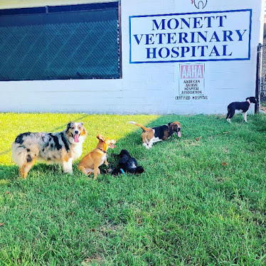 Monett Veterinary Hospital
