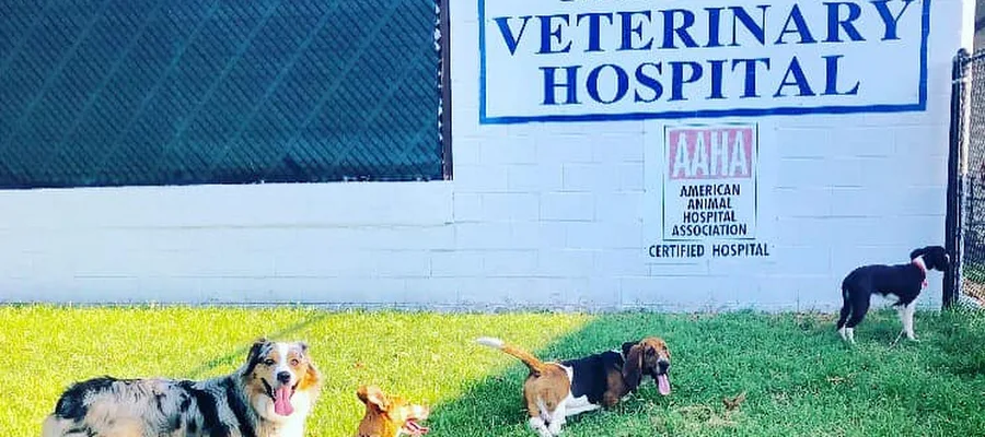 Monett Veterinary Hospital