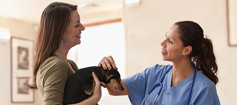 Monongahela Animal Hospital