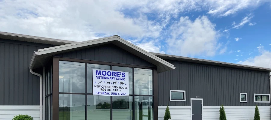 Moore's Veterinary Clinic