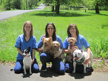 Mountain Shadow Veterinary Hospital