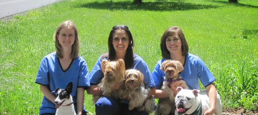 Mountain Shadow Veterinary Hospital