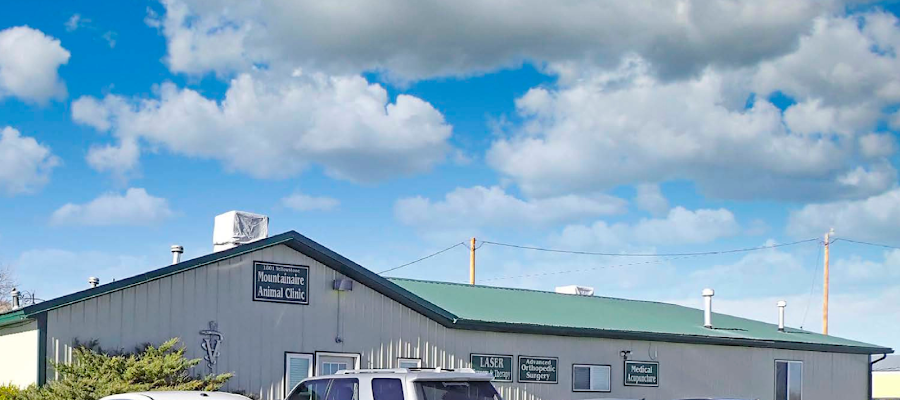 Mountainaire Animal Clinic