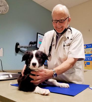 Mt. Shasta Animal Hospital