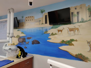 My First Dentist