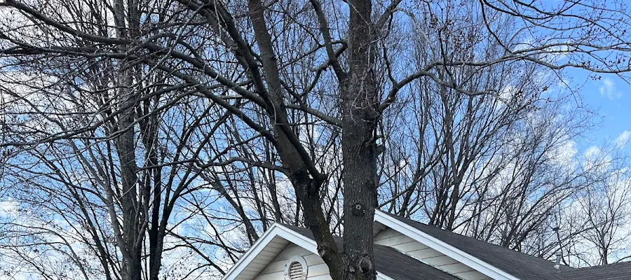Neighborhood Insurance