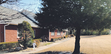 New View Estate Planning, PLLC