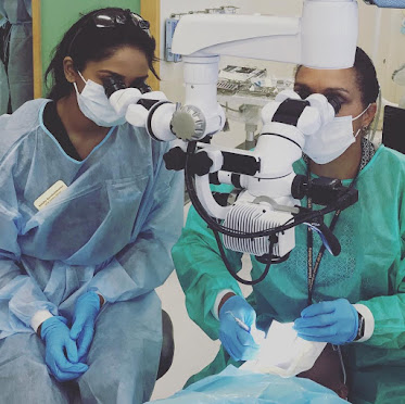 NorCal Endodontics