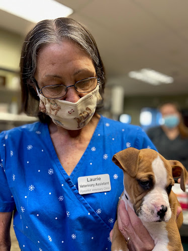 North Fork Vet Clinic