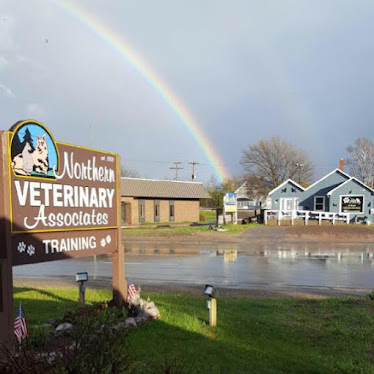 Northern Veterinary Associates