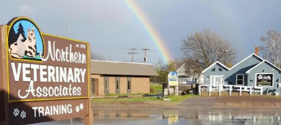Northern Veterinary Associates