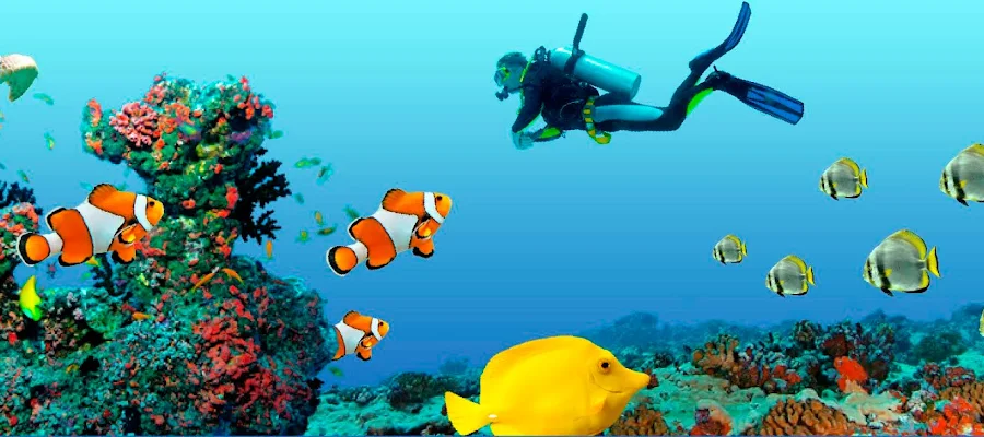 Ocean Dental