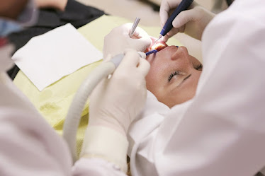 Olympic View Dental