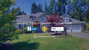 Onega & Sons Inspection Services