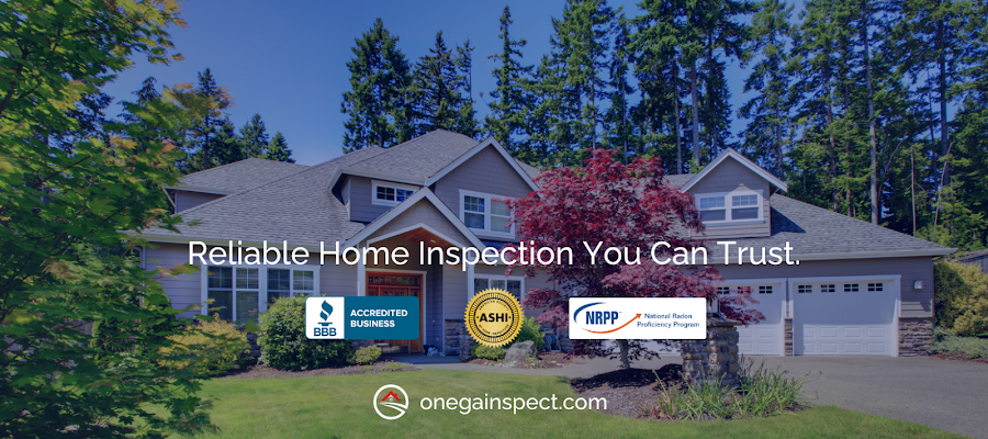 Onega & Sons Inspection Services