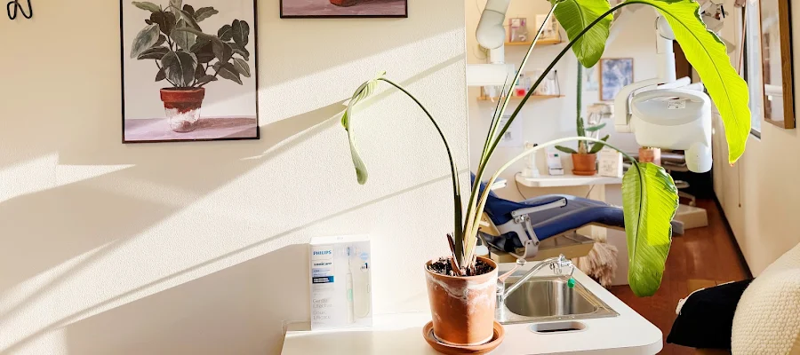 Orchard Dental Care