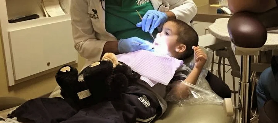 Orchid Family Dental