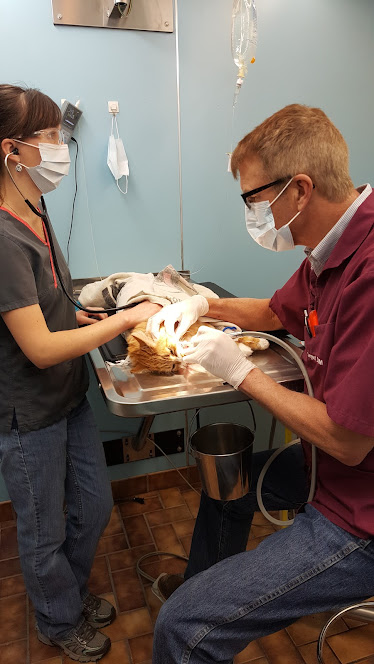 Oregon Trail Veterinary Clinic