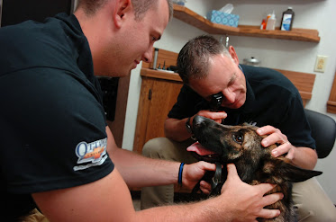 Ottawa Veterinary Clinic