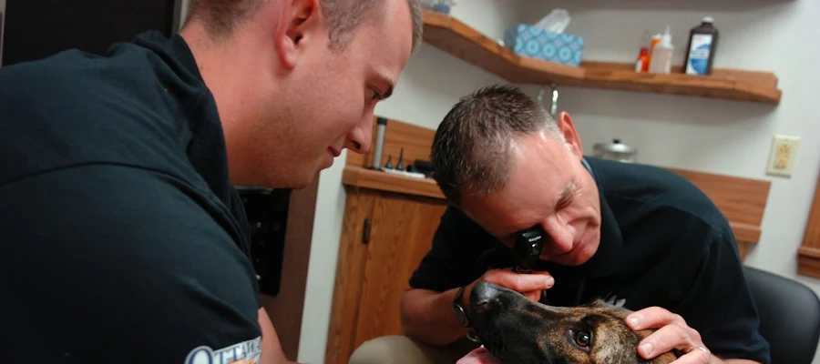 Ottawa Veterinary Clinic
