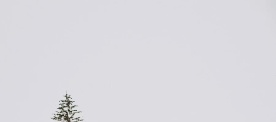 Paciorek Orthodontics