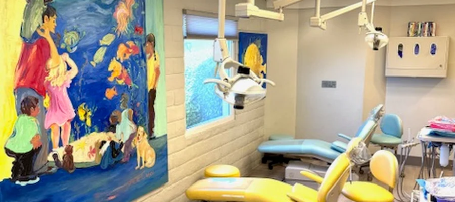 Pajaro Valley Children's Dental Group- Dr. Mojdeh Faraz