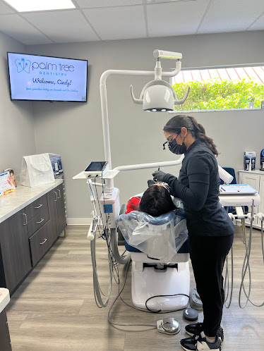 Palm Tree Dentistry - Palm Harbor
