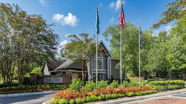 Palmetto Grove