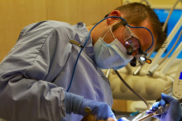 Paradigm Dental
