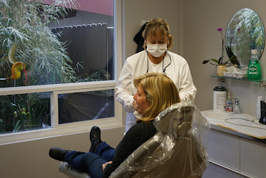 Paul Falvey, DDS
