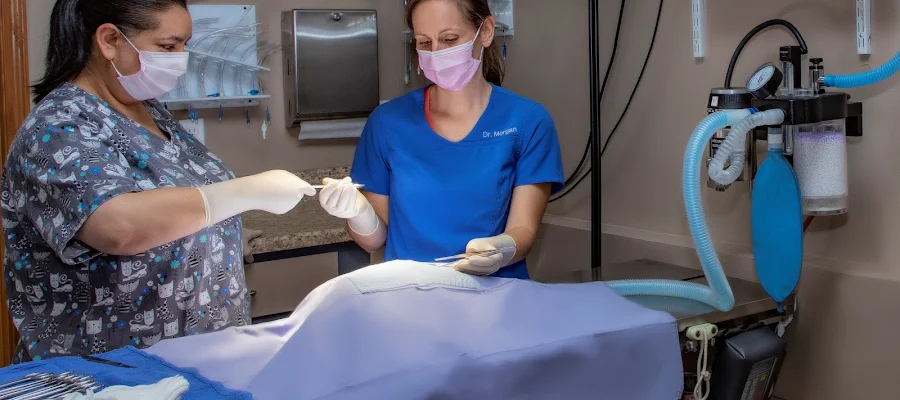 Pawsitively Pets Animal Hospital