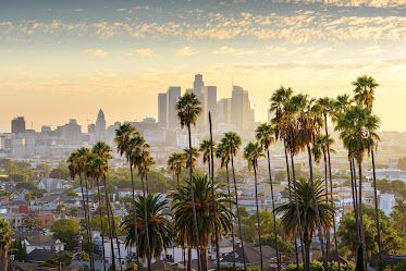 Payam Yashar, M.D.