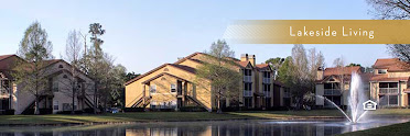 Pebble Creek At Lake Mary