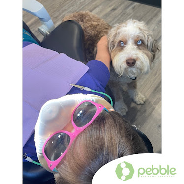 Pebble Pediatric Dentistry