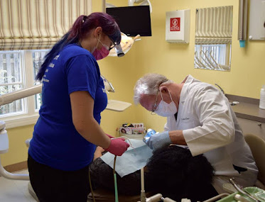 Perfect Smile - Dentist in Tulsa, OK