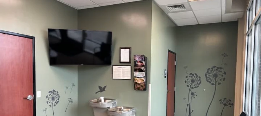 Perfect Teeth Dental