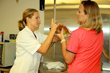 Pine City Veterinary Clinic LLC