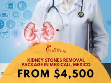 PlacidWay Medical Tourism