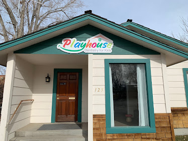 Playhouse Dentistry for Kids