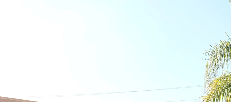 Ponderosa Dental Group
