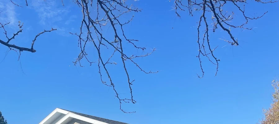 Pradera Dental