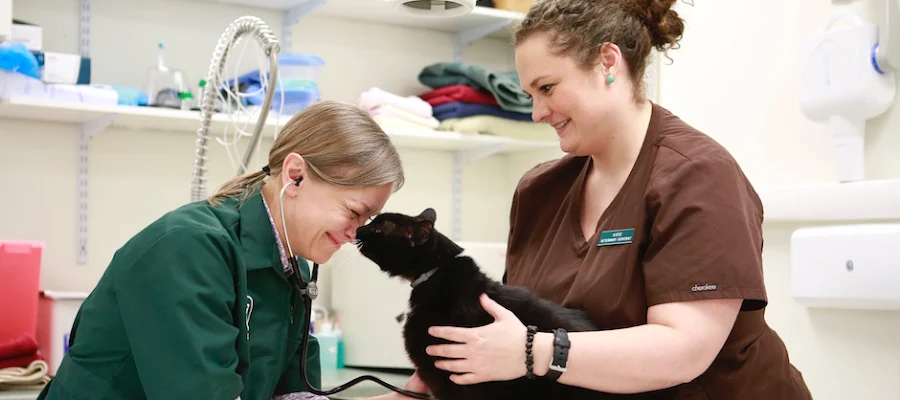 Preddy Creek Animal Clinic