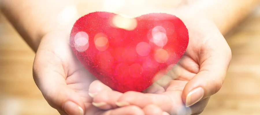 Premier Cardiac and Vascular