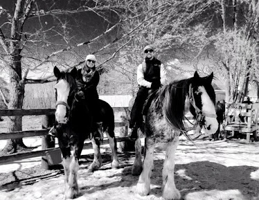 Red Ridge Ranch Riding Stable