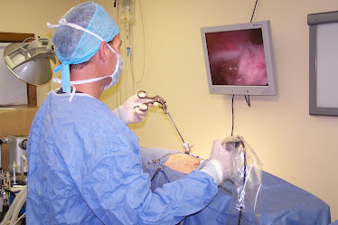 Redmond Veterinary Clinic
