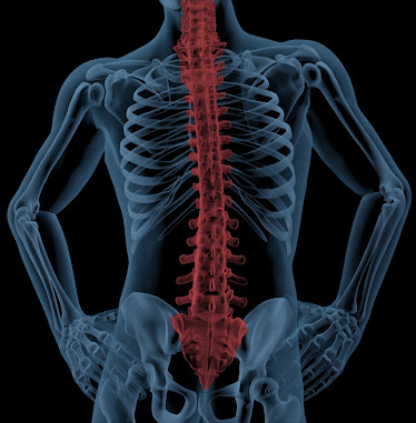 Rehabilitation Sports & Spine Center PS