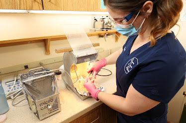 Restore Dental Wellness