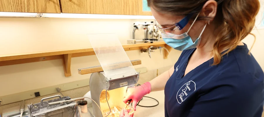 Restore Dental Wellness