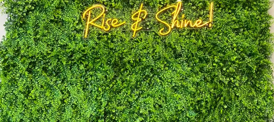 Rise Orthodontics