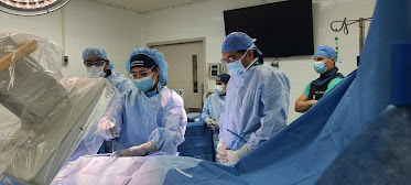 Roya Moheimani M.D.